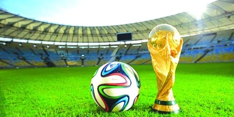为他们在杯